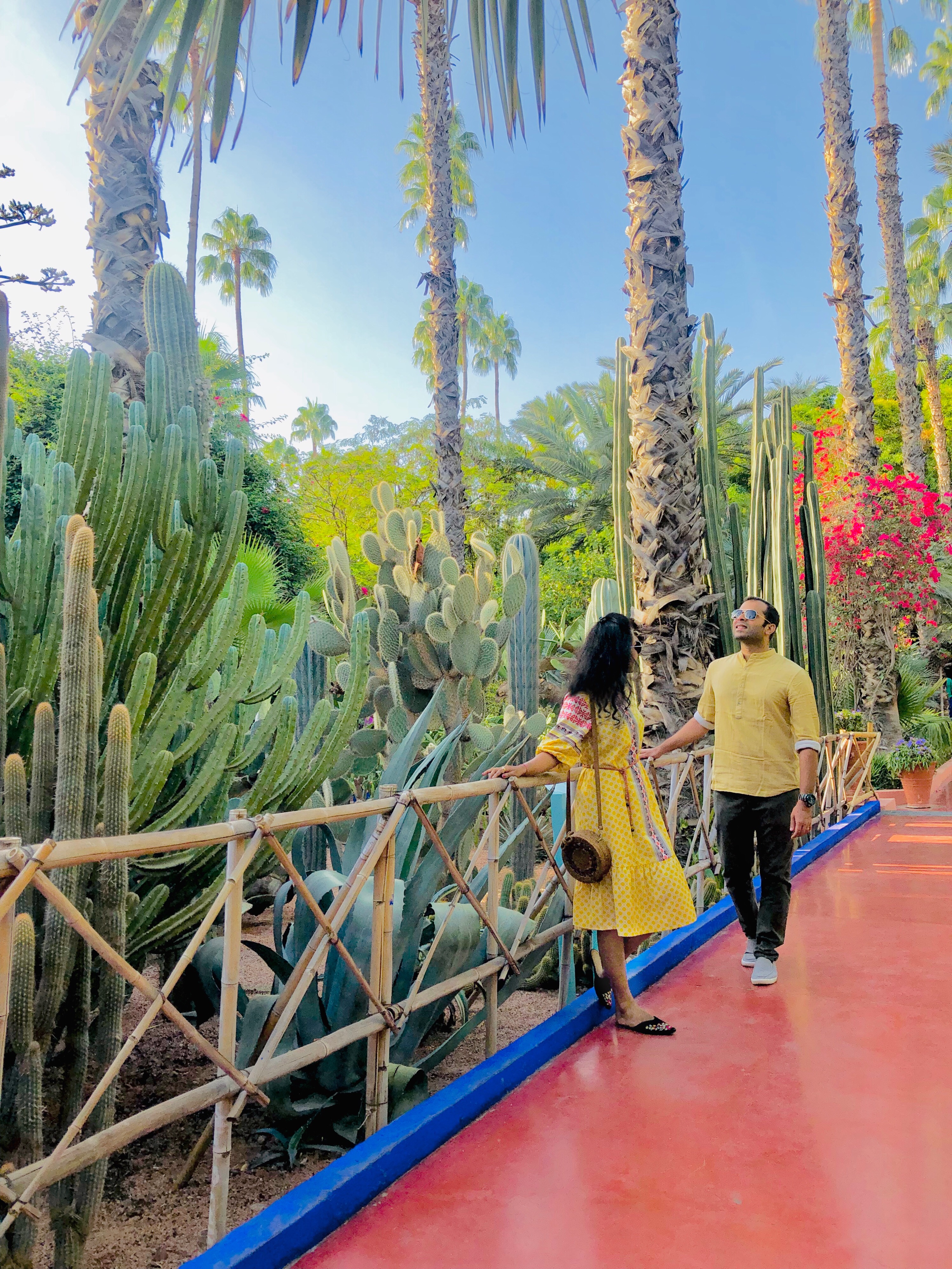 Exotic plants at the Jardin Marjorelle.